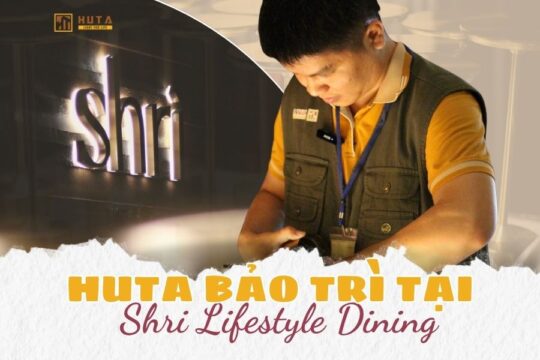 Hành Trình Bảo Trì Đèn Bàn Ăn Tại Nhà Hàng Shri Lifestyle Dining
