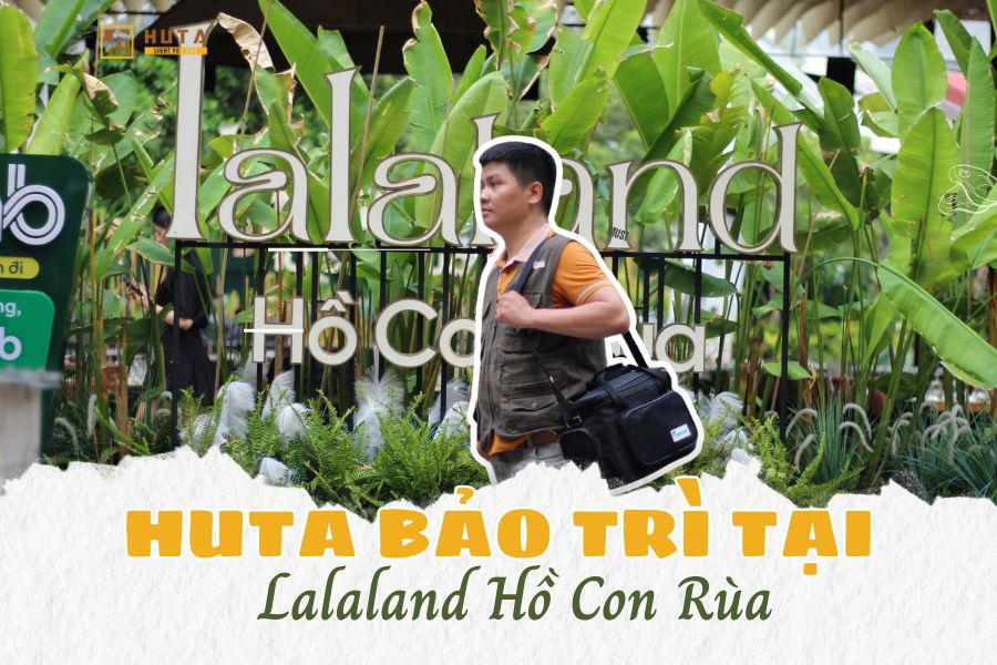 Hành Trình Bảo Trì Đèn Bàn Nhà Hàng Tại Lalaland Hồ Con Rùa