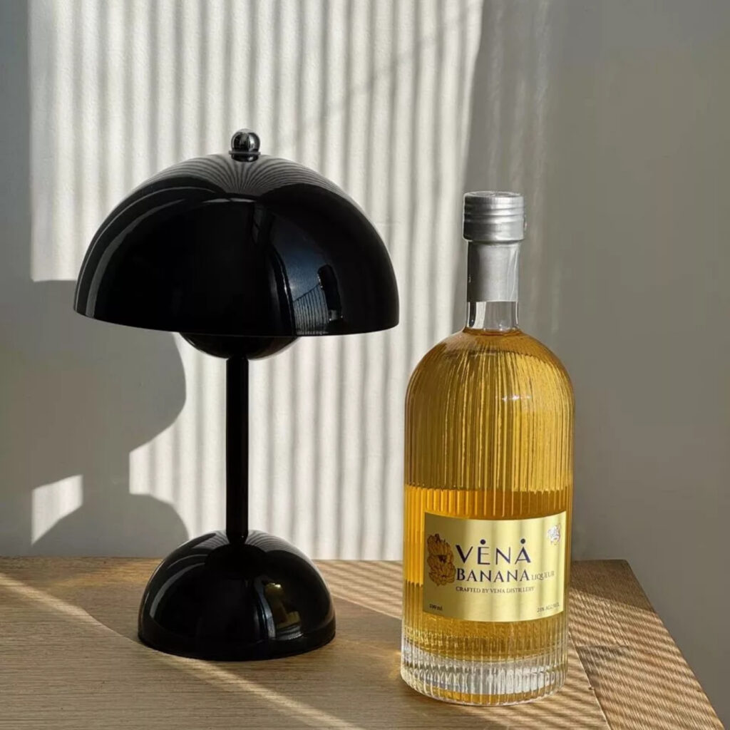 Đèn Bàn Decor Tích Điện HUTA Light For Life Mã BEDNAM